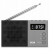 SPC Radio cyfrowe FM - kieszonkowe